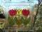 ramka z trzema tulipanami witrażyk szkło ozdobne