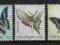 THE GAMBIA- motyle rzadkie serie/znaczki czyste **