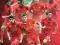 Liverpool Players 12/13 - plakat 61x91,5 cm