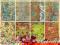 Papier SCRAPBOOKING retro vintage 8 szt