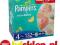 PAMPERS Activ Baby Maxi 4 Pieluszki 132szt MEGA