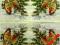 Serwetki do decoupage NR 521 - 2szt.