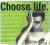 PF PROJECT FEATURING EWAN MCGREGOR CHOOSE LIFE CD