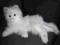 Interaktywny duży kot Lulu Fur Real Hasbro