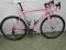 SPECIALIZED CRUX E5 PINK!! CAMPAGNOLO!!