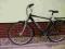 Rower CANOGA koła 28 rama alu