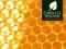 Herbata Honeybush BIO 50g