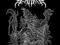 AZARATH - Diabolic Impious Evil SLIPCASE