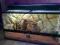 terrarium pustynne EXO - TERRA large 90x45x45 !!!!