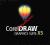 Coreldraw COREL DRAW GS X5 PL box FV + Adobe CC