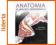 Anatomia w urazach sportowych Leigh Brandon