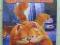 Garfield (film fabularny) DVD