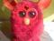 HASBRO FURBY PHOENIX A0004 Okazja!!!