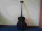 Roter IV accoustic fretless bass