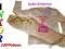 Ankor-Polska piżama dziewczęca-ALAN-100% baw.128