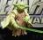 FIGURKA star wars saga YODA jedi master AOTC