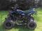 Quad Shenke 250