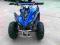 Quad Mini 49cc