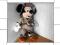 MYSZKA MIKI Z LORNETKĄ-DISNEY-WYS.-29CM