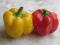 Papryka pomidorowa żółta-sadzonki-Niezłe Ziółko