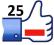 25 LUBIE TO FACEBOOK I REALNI FANI Z POLSKI LIKE