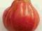 Sadzonki sadzonka pomidor Red Pear gruszka
