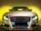 GRILL ATRAPA AUDI TTS TT RS TT S LINE 8J SLINE