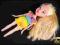 2462-17 ...BRATZ... BLONDWLOSA LALKA W SUKIENCE