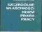 Szczególne właściwości norm prawa pracy