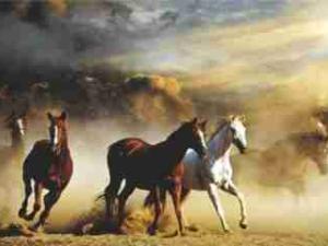 KONIE - STAMPEDE (121) - Plakat Plakaty PWG-3640 KONIE - STAMPEDE (121) - Plakat Plakaty PWG-3640