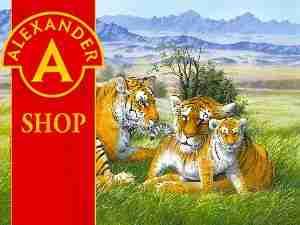 PUZZLE TIGER FAMILY 260 ELEMENTÓW CASTO (B-26722) PUZZLE TIGER FAMILY 260 ELEMENTÓW CASTO (B-26722)