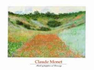 Plakat obraz 70x50cm EMA-S775 FIELD OF POPPIES AT