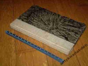 Jan Bielecki - Mnich,Arab,Hugo - J.Słowacki 1920 +