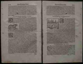 S.MUNSTER cztery karty ,9 drzeworytów ,ok.1600 rok S.MUNSTER cztery karty ,9 drzeworytów ,ok.1600 rok