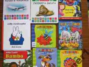 Zestaw książeczek dla dziecka twarde kartki