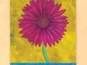 Plakat obraz 50x70cm SCX-043158 GERBERA ROSULA  (L