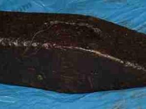 Stary  mloteczek 710 gr