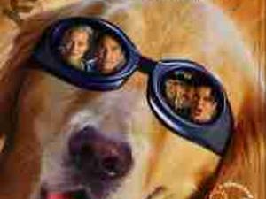 MILIONY BAILEYA DVD BAILEY'S BILLION$