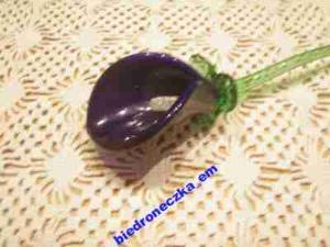 SZLKANY KWIAT JĘZYK TEŚCIOWEJ !!! SZLKANY KWIAT JĘZYK TEŚCIOWEJ !!!