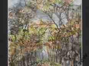 akwarela - 578 -jesienna droga .wymiar 18x24 cm. akwarela - 578 -jesienna droga .wymiar 18x24 cm.