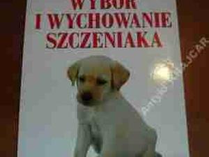 Wybór i wychowanie szczeniaka Gwen Bailey spis