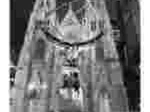 Plakat obraz 23x50cm WGA-00760 SAINT PATRICK-S CAT