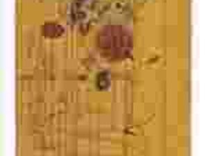 Plakat obraz 50x100cm WGX-6004 PART SEEN, IMAGINED