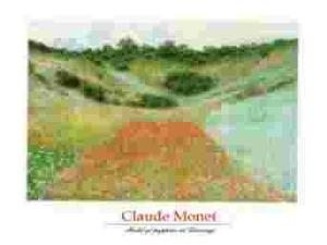 Plakat obraz 70x50cm EMA-S775 FIELD OF POPPIES AT