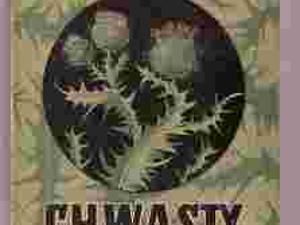 CHWASTY - B. ŚWIĘTOCHOWSKI S. TOŁPA
