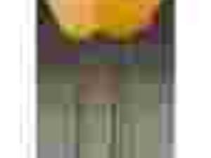 Plakat obraz 20x70cm ALH-AC140 YELLOW FLOWERS I