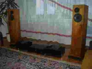 DIY Scan Speak Pass Aleph 5 P1.7 Dac Peter Daniel